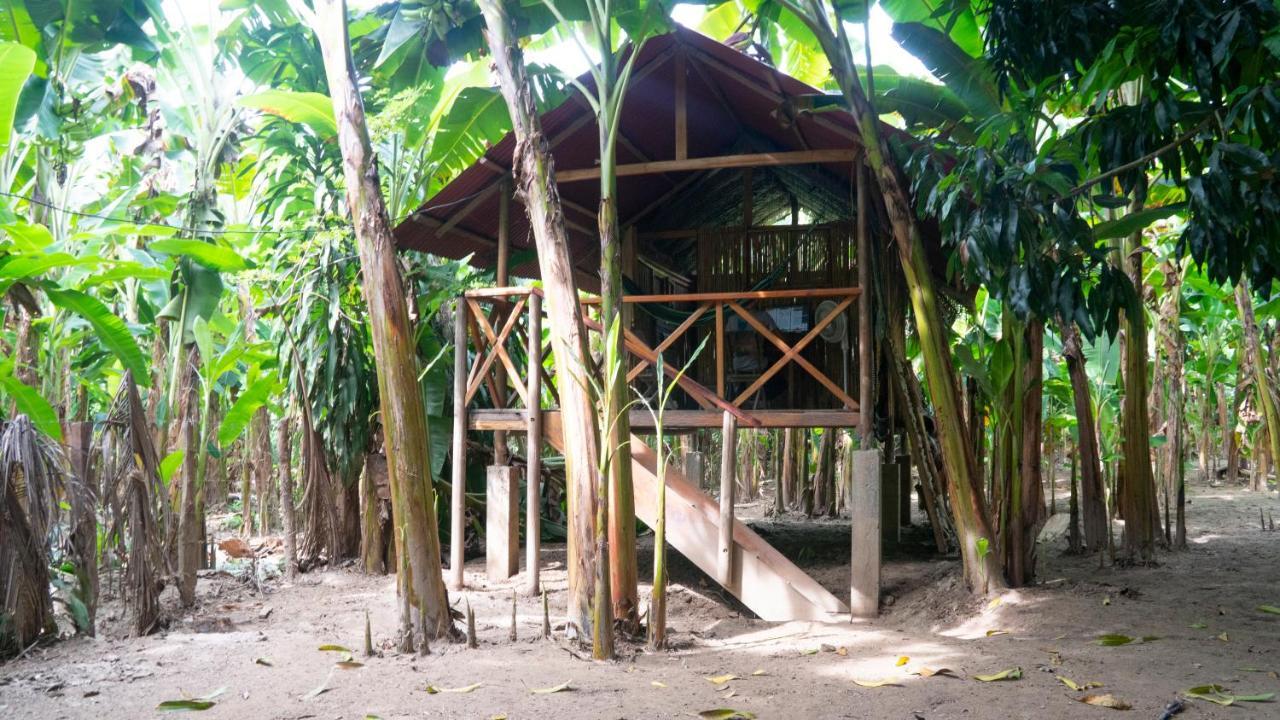 Guachaca La Playita旅舍 外观 照片
