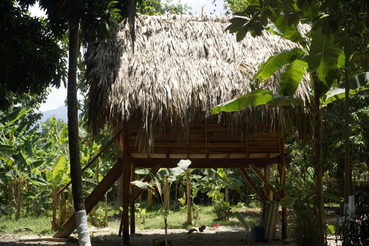 Guachaca La Playita旅舍 外观 照片