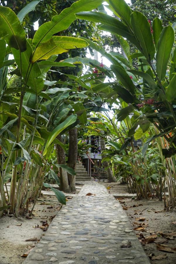 Guachaca La Playita旅舍 外观 照片