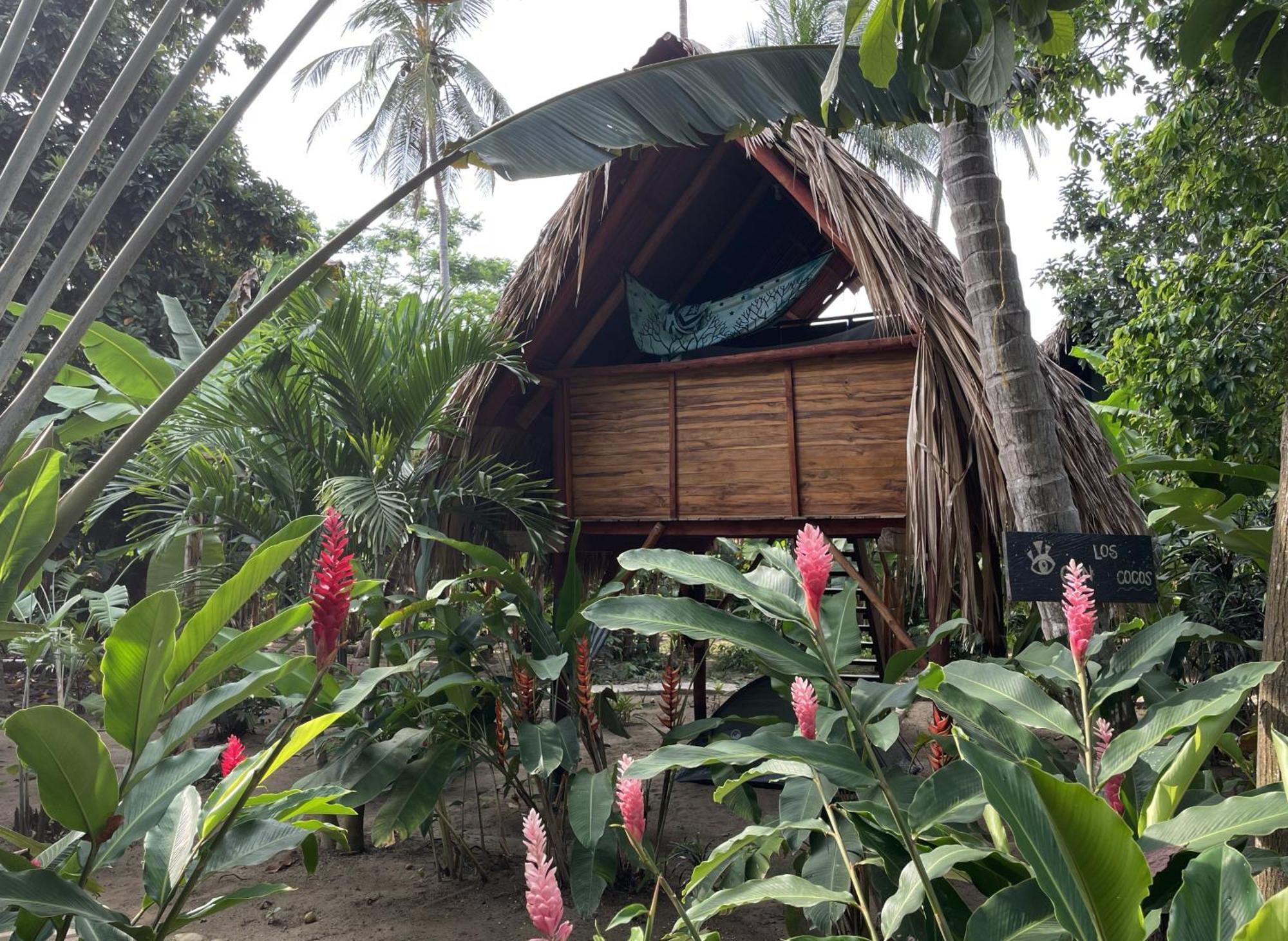 Guachaca La Playita旅舍 外观 照片